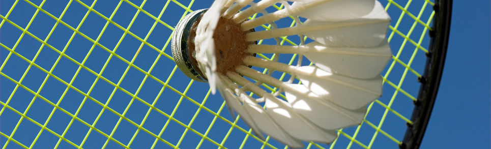 Badminton Ansprechpartner Badminton Ansprechpartner