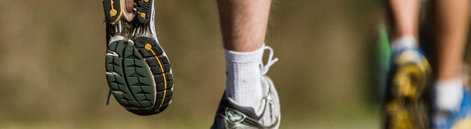 Trainingszeiten allgemein Trainingszeiten allgemein